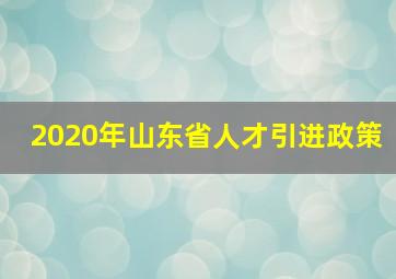 2020年山东省人才引进政策