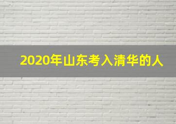 2020年山东考入清华的人