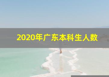 2020年广东本科生人数