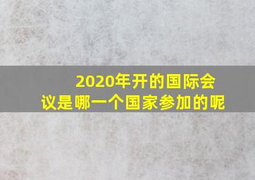 2020年开的国际会议是哪一个国家参加的呢