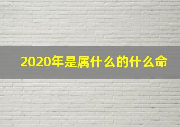 2020年是属什么的什么命