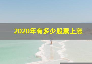 2020年有多少股票上涨