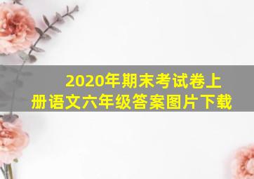 2020年期末考试卷上册语文六年级答案图片下载