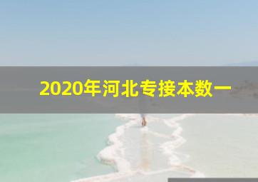 2020年河北专接本数一