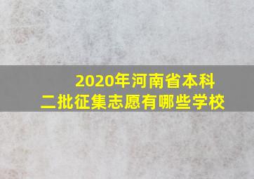 2020年河南省本科二批征集志愿有哪些学校