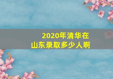 2020年清华在山东录取多少人啊