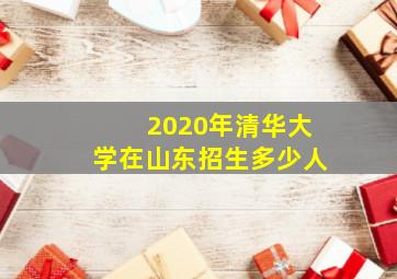 2020年清华大学在山东招生多少人