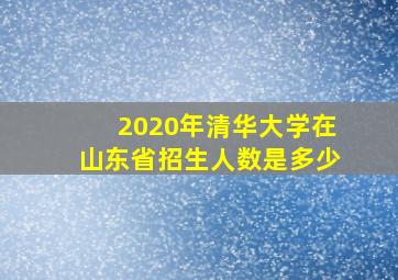 2020年清华大学在山东省招生人数是多少