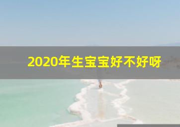 2020年生宝宝好不好呀