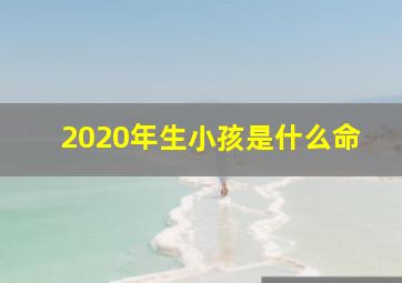 2020年生小孩是什么命