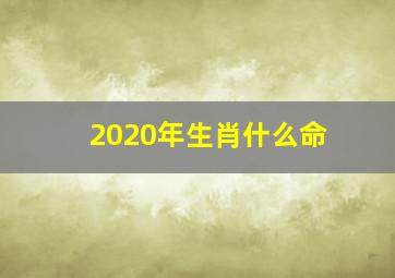 2020年生肖什么命