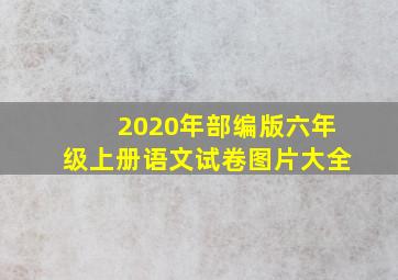 2020年部编版六年级上册语文试卷图片大全