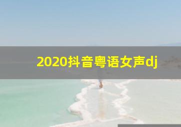 2020抖音粤语女声dj