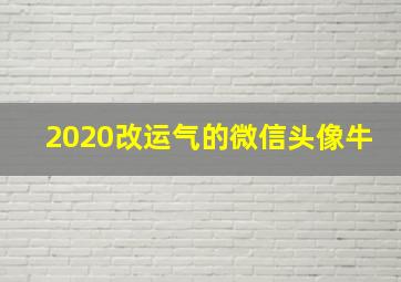 2020改运气的微信头像牛