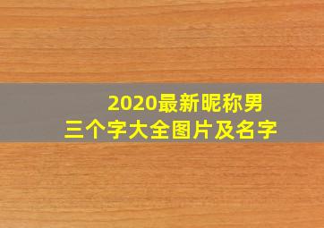 2020最新昵称男三个字大全图片及名字