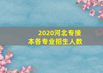 2020河北专接本各专业招生人数