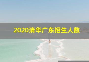 2020清华广东招生人数