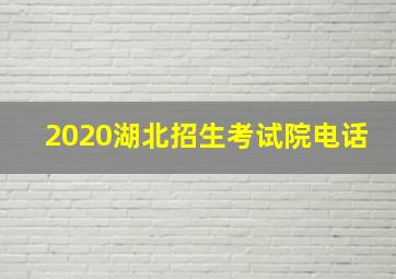 2020湖北招生考试院电话