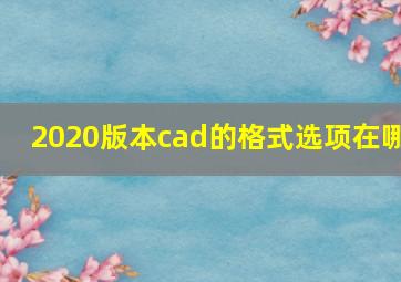 2020版本cad的格式选项在哪