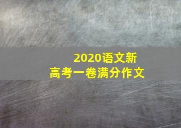 2020语文新高考一卷满分作文