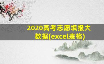 2020高考志愿填报大数据(excel表格)