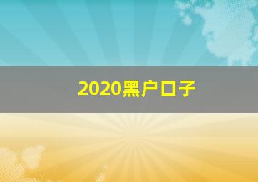 2020黑户口子