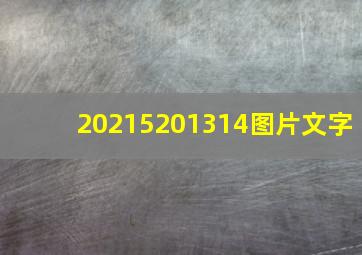 20215201314图片文字