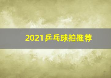 2021乒乓球拍推荐