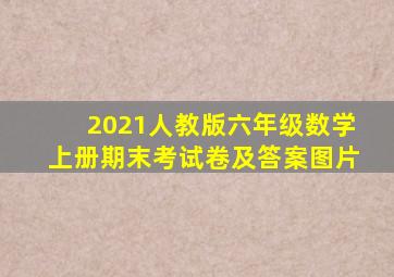 2021人教版六年级数学上册期末考试卷及答案图片