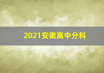 2021安徽高中分科