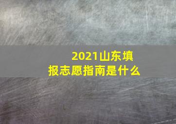 2021山东填报志愿指南是什么