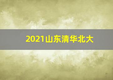 2021山东清华北大