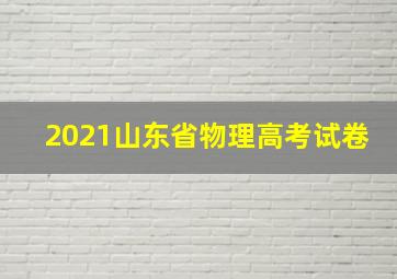 2021山东省物理高考试卷