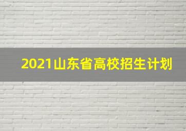 2021山东省高校招生计划