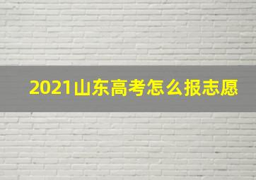 2021山东高考怎么报志愿