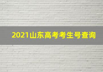 2021山东高考考生号查询