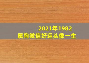 2021年1982属狗微信好运头像一生