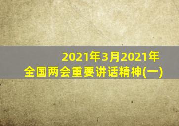 2021年3月2021年全国两会重要讲话精神(一)