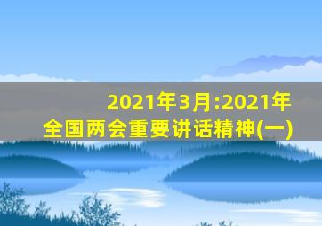 2021年3月:2021年全国两会重要讲话精神(一)