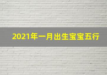 2021年一月出生宝宝五行