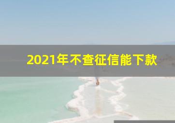 2021年不查征信能下款