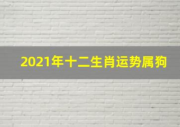 2021年十二生肖运势属狗