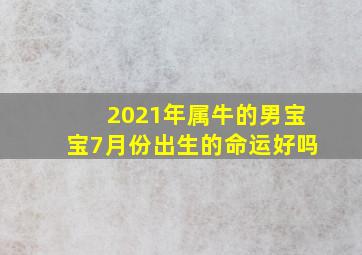 2021年属牛的男宝宝7月份出生的命运好吗