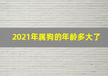 2021年属狗的年龄多大了