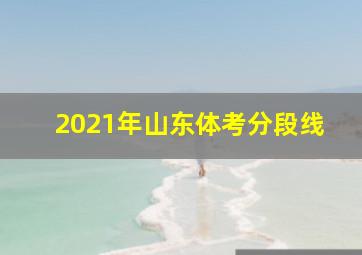 2021年山东体考分段线