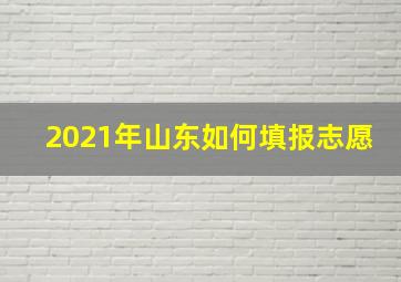 2021年山东如何填报志愿