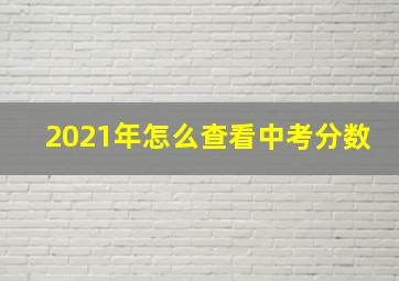 2021年怎么查看中考分数