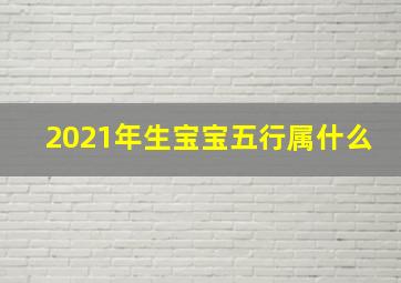 2021年生宝宝五行属什么