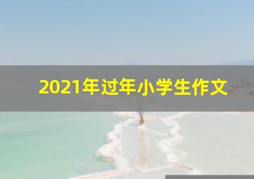 2021年过年小学生作文