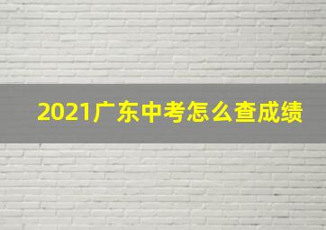 2021广东中考怎么查成绩